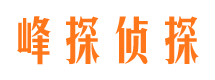 贵池找人公司